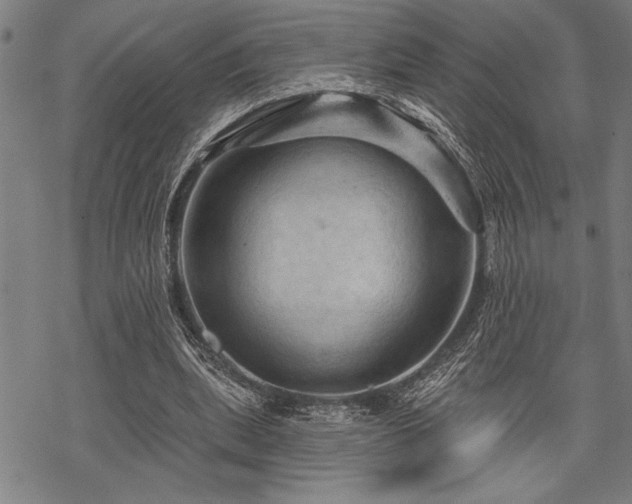 X0000069790439200605221118