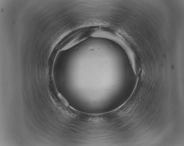 X0000069790440200605221118