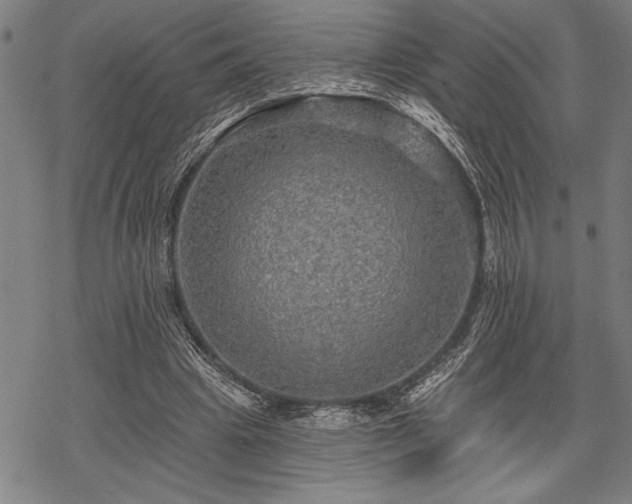 X0000069790441200605221118