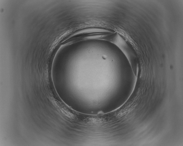 X0000069790442200605221118