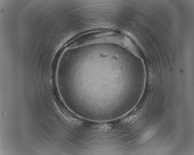 X0000069790443200605221118