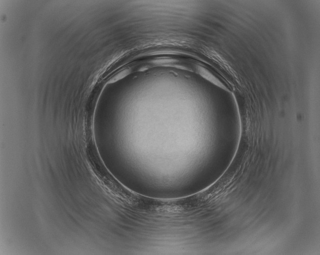 X0000069790444200605221118