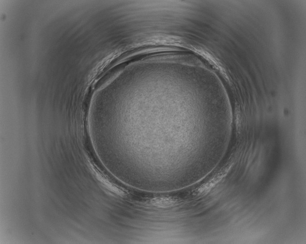 X0000069790445200605221118