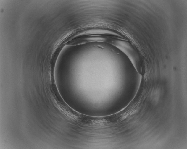 X0000069790446200605221118