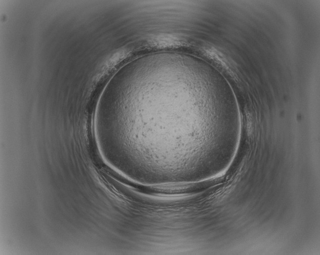 X0000069790447200605221118