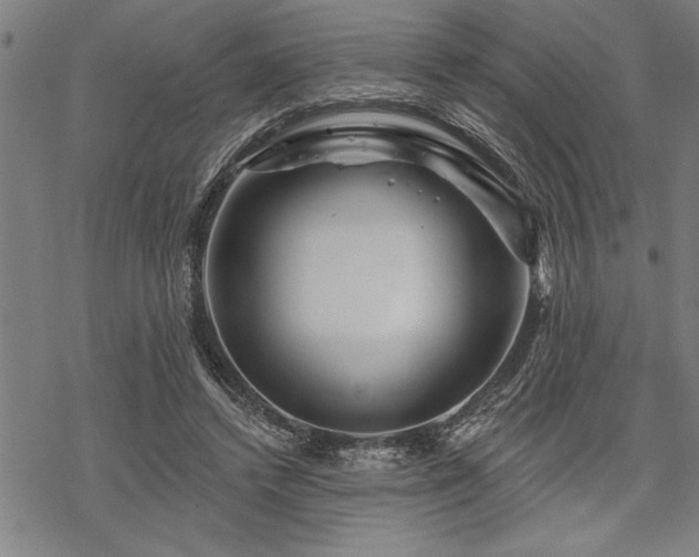 X0000069790448200605221118