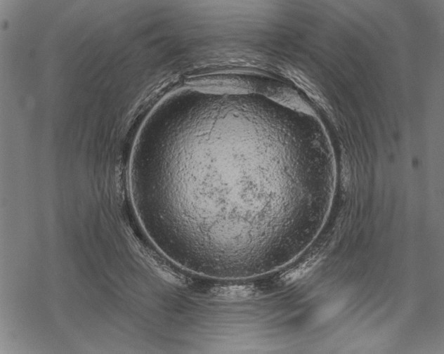 X0000069790449200605221118