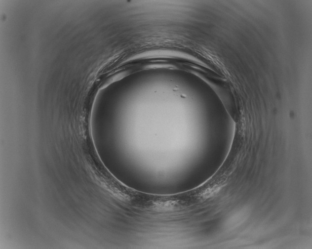 X0000069790450200605221119