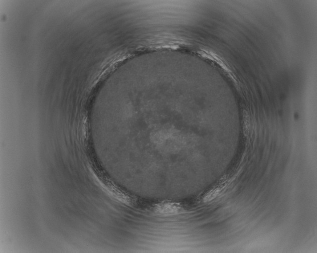 X0000069790451200605221119