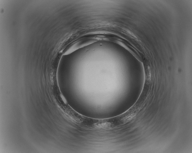 X0000069790452200605221119