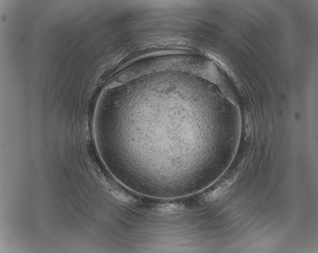 X0000069790453200605221119