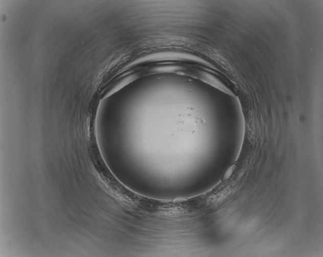 X0000069790454200605221119