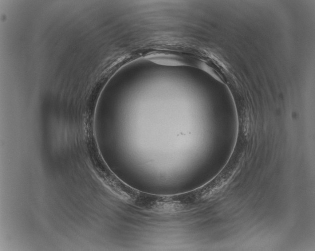 X0000069790455200605221119