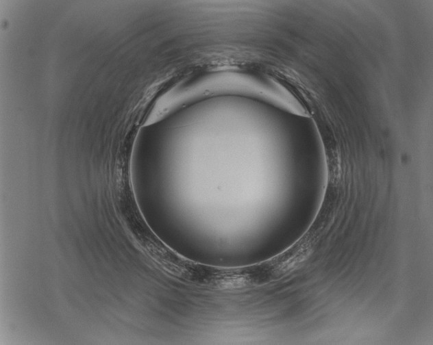 X0000069790456200605221119