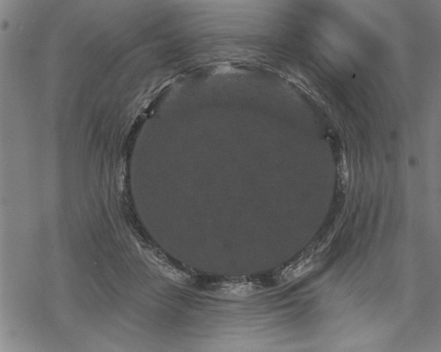 X0000069790458200605221119