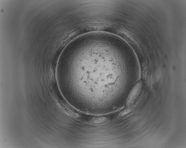 X0000069790459200605221119