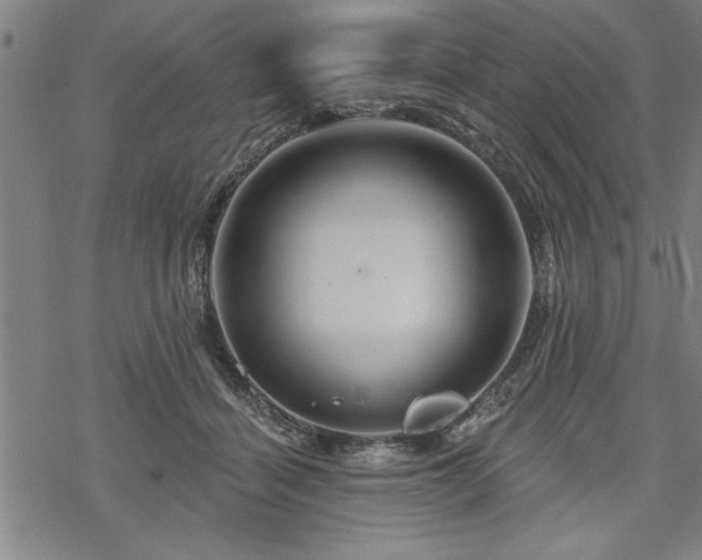 X0000069790460200605221119