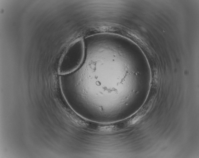 X0000069790461200605221119