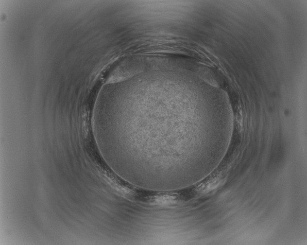 X0000069790462200605221119