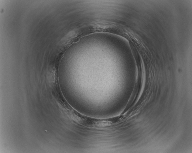 X0000069790463200605221119