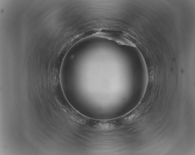 X0000069790464200605221119