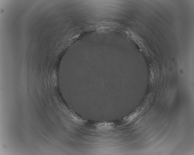 X0000069790465200605221119