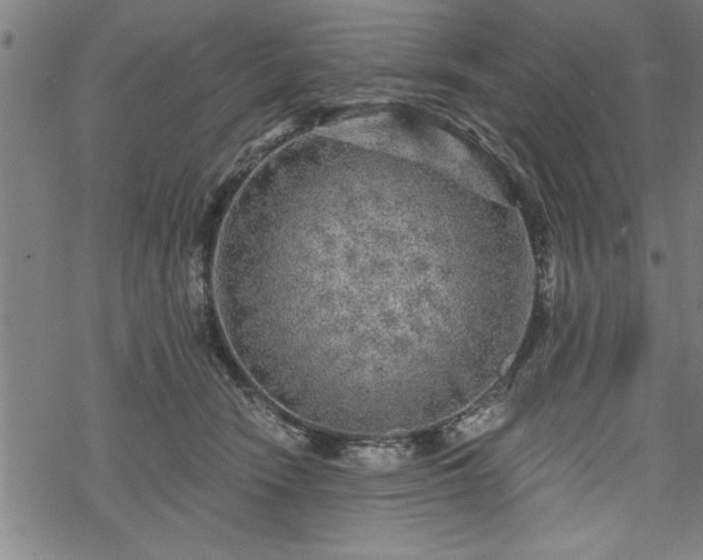 X0000069790466200605221119