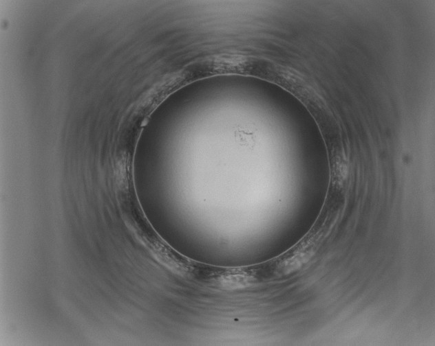 X0000069790468200605221119