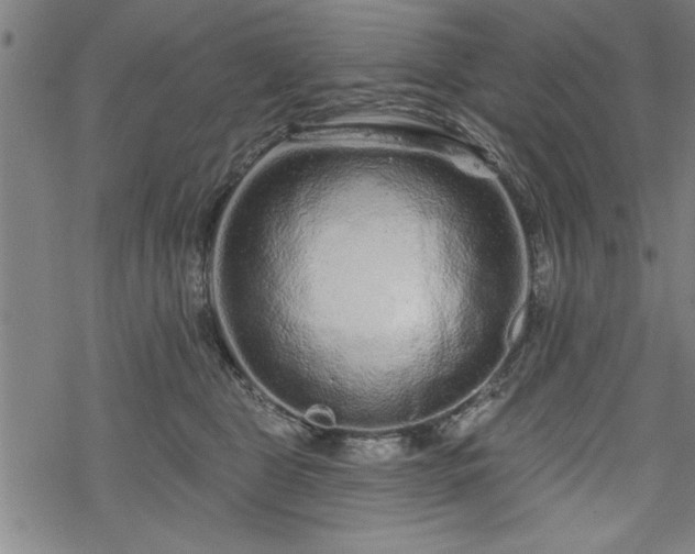 X0000069790469200605221119