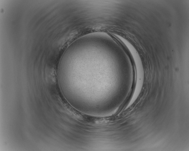 X0000069790470200605221119