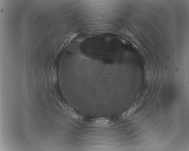 X0000069790471200605221119