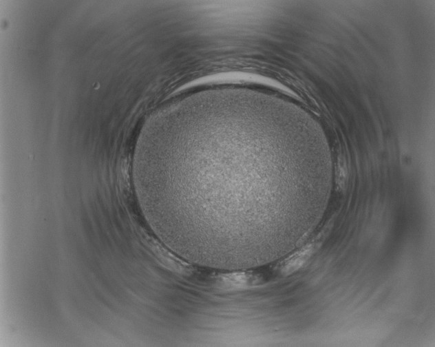 X0000069790473200605221119