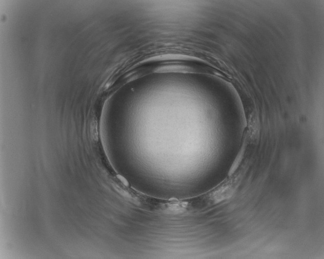 X0000069790474200605221119