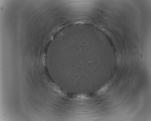 X0000069790475200605221119