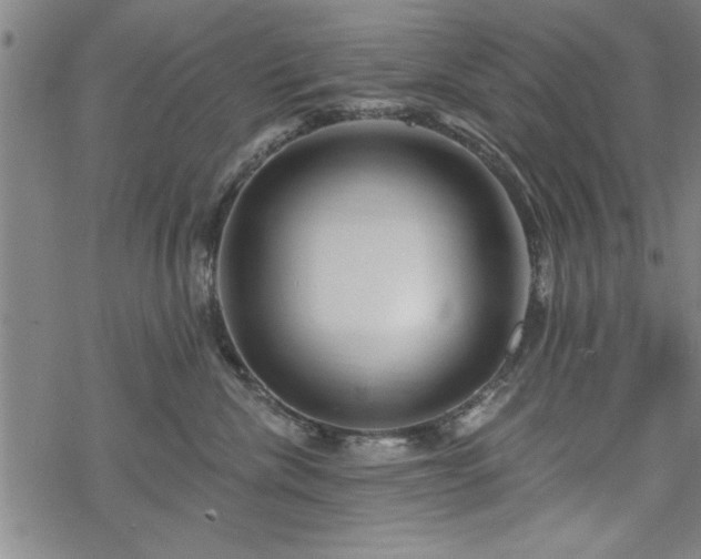 X0000069790476200605221119