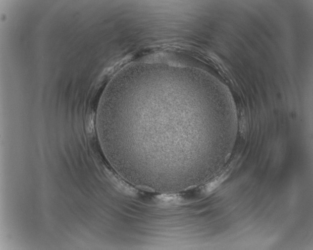 X0000069790477200605221119