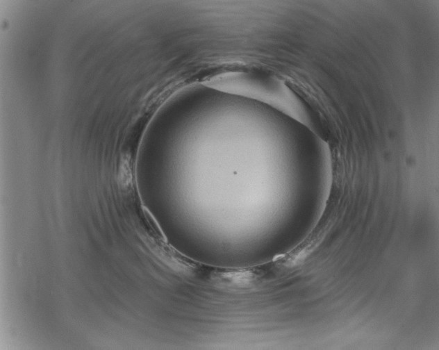 X0000069790478200605221119