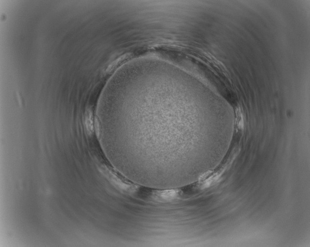 X0000069790479200605221119