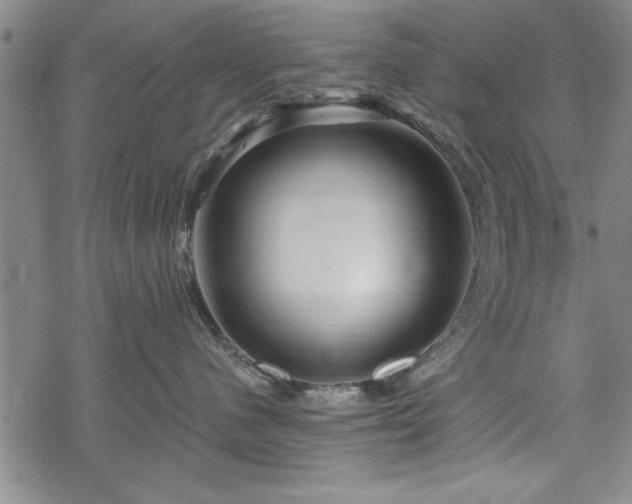 X0000069790480200605221119