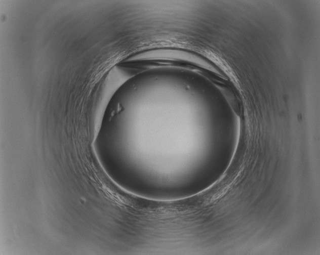 X0000069790481200605221118