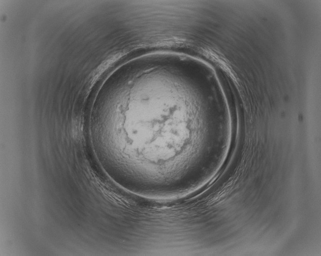 X0000069790483200605221118