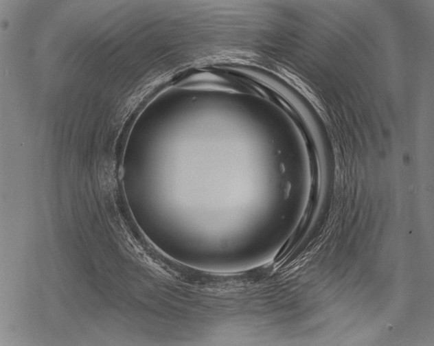 X0000069790485200605221118