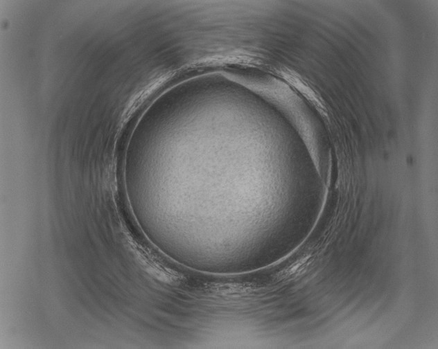 X0000069790486200605221118