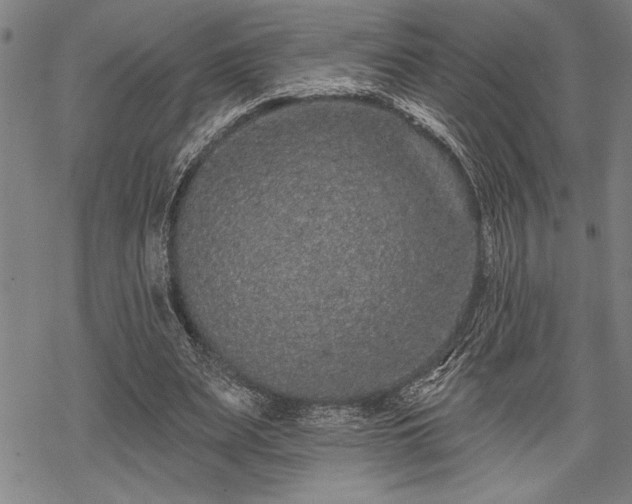 X0000069790487200605221118