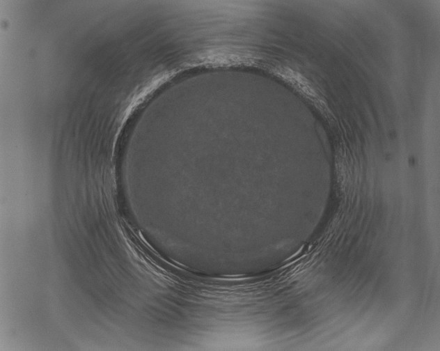 X0000069790488200605221118