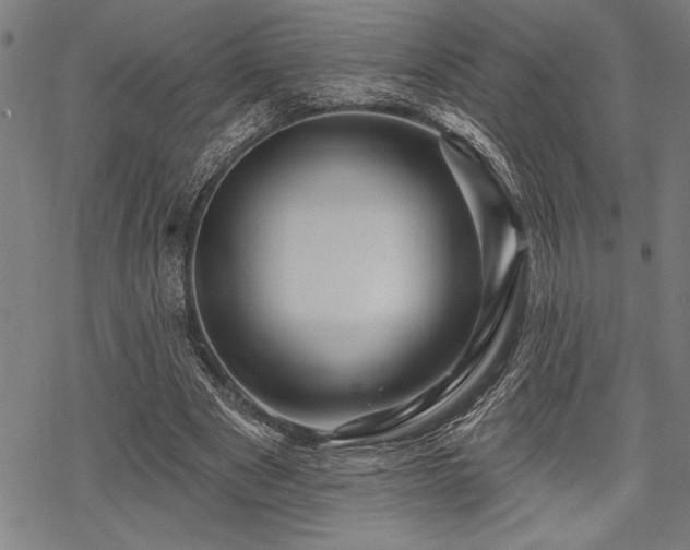 X0000069790489200605221118