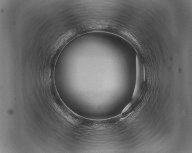 X0000069790490200605221118