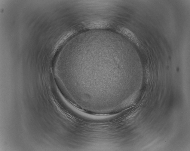 X0000069790491200605221118