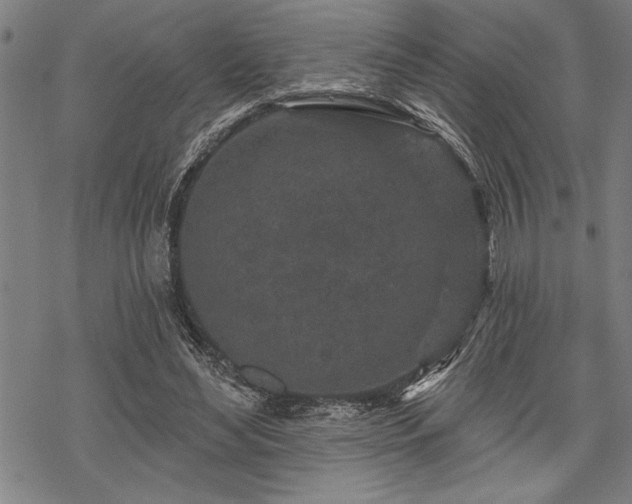 X0000069790492200605221118