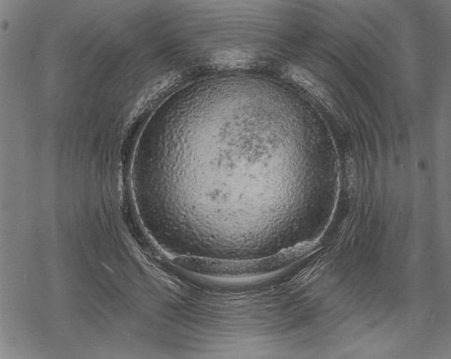 X0000069790494200605221118